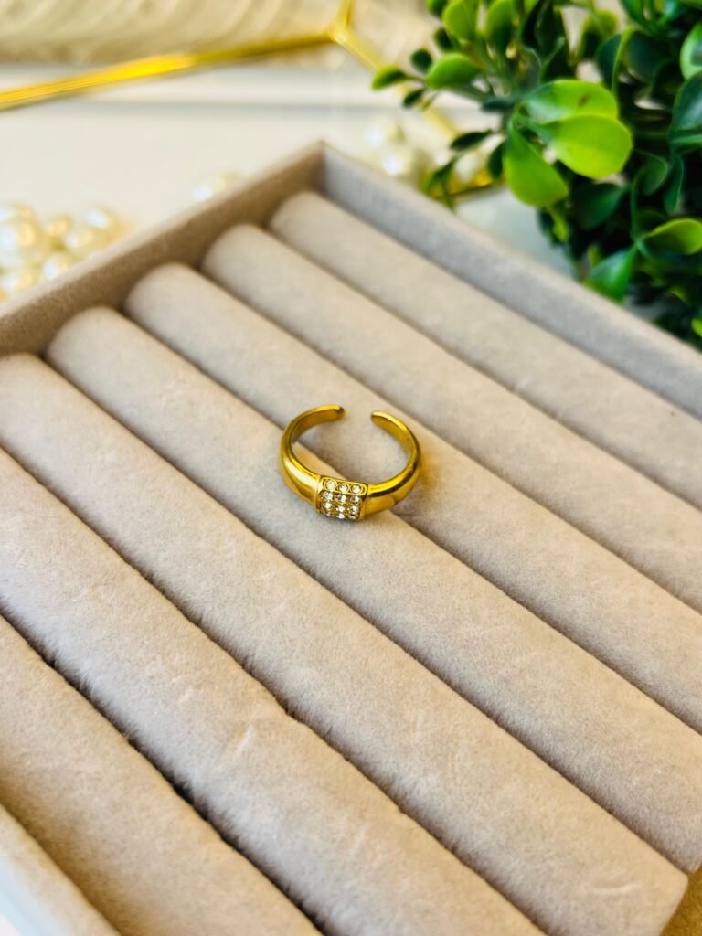 WhatsApp Image 2024-12-12 at 11.01