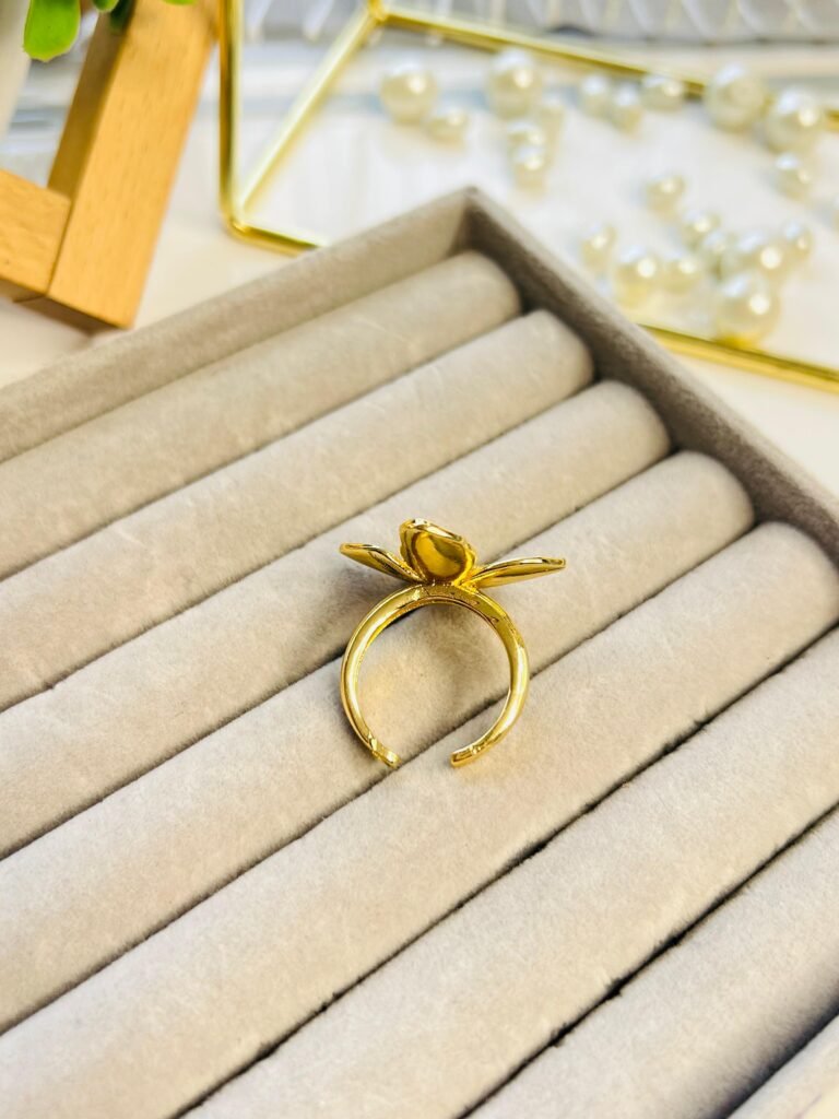 WhatsApp Image 2025-01-22 at 11.08