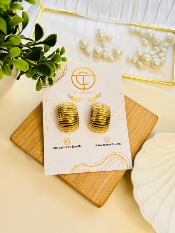 Ridge Luxe Earrings - Image 2