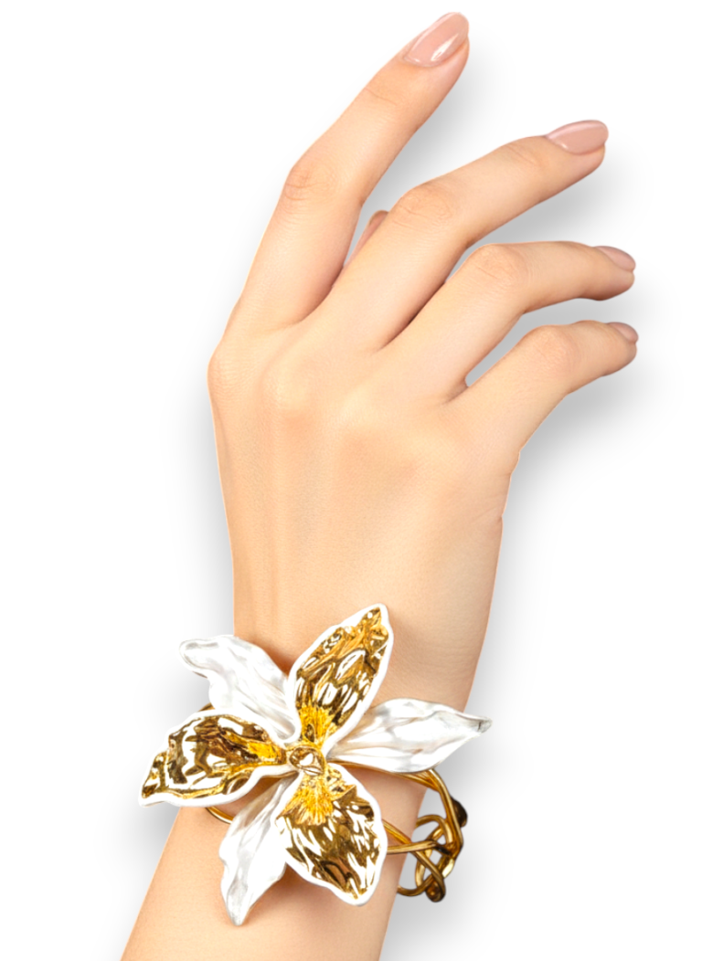 WhatsApp Image 2026-01-29 at 12.14