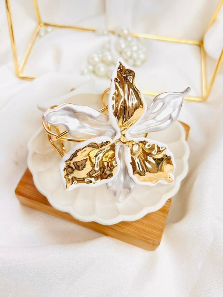 WhatsApp Image 2026-01-29 at 12.14